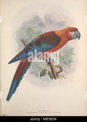 Extinct birds - an attempt to unite in one volume a short account of those birds which have become extinct in historical times - that is, within the last six or seven hundred years - to which are (14566075457) Stock Photo