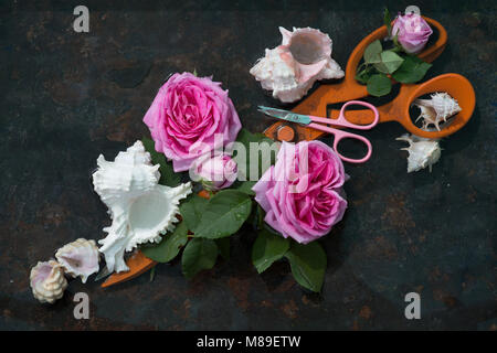 Two pairs of scissors among pink rose flowers and white sea shells: huge orange scissors lie diagonally on the frame, and on them are small nail sciss Stock Photo