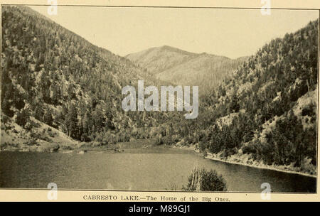 First report of game and fish warden for New Mexico. 1909-1910-1911 (1912) (14755562455) Stock Photo