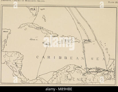 Flora of the islands of Margarita and Coche, Venezuela (1909) (14768140395) Stock Photo