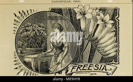 Florists' wholesale price list of bulbs and plants - for fall 1899 (1899) (20529150186)