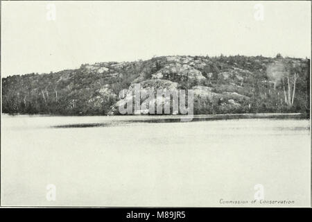 Forest protection in Canada, 1912-1914, by Clyde Leavitt (1913) (14594272637) Stock Photo