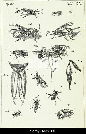 Karl Jordan Insect This entomological work, based on the guidance of Karl Linnaeus ...
