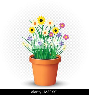 Flowerpot with flowers plant and grass on white transparent background. Nature spring or summer abstract flora illustration. Chamomile cornflower viol Stock Vector