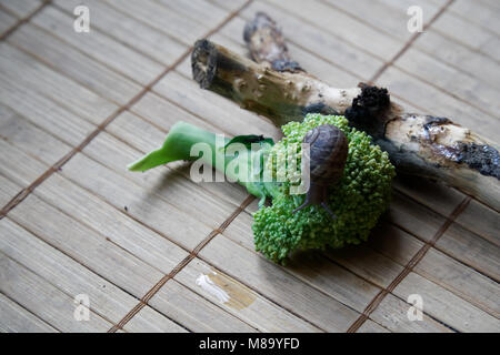 Snail sitting on little tree trunk and go to green broccoli, wooden bamboo backdrop, close-up animal background. Stock Photo