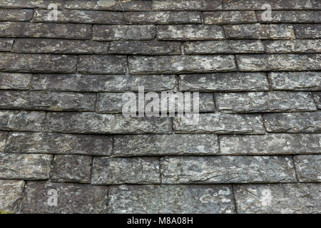 Old slate tiles on a roof of a farm building Stock Photo