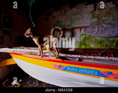 Whaling Boat in Nautical Club in Lajes do Pico, Pico Island, Azores, Portugal Stock Photo