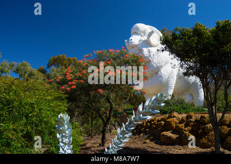 The Big Ram, Wagin Western Australia Stock Photo