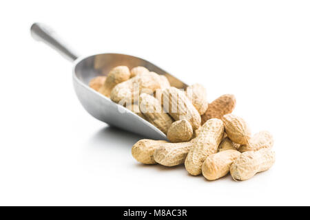 The unpeeled peanuts in scoop isolated on white background. Stock Photo