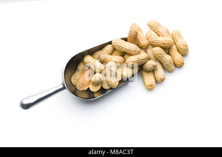 The unpeeled peanuts in scoop isolated on white background. Stock Photo