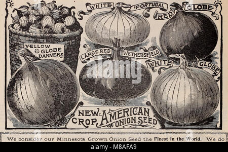 Good seeds at fair prices - 1899 (1899) (20365367780) Stock Photo