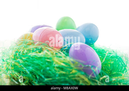 Colorful Easter Eggs are in their nest. The plastic eggs and nest are isolated in front of a white background. Stock Photo