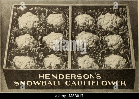 Henderson's wholesale catalogue. - seeds, implements, fertilizers, insecticides &c. for market gardeners and truckers (1911) (14784333772) Stock Photo