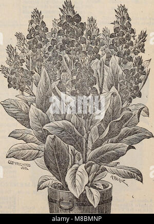 Descriptive catalogue of high grade seeds for the farm and garden (1894) (20254891674) Stock Photo