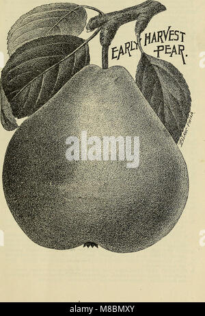 Descriptive catalogue of the fruit and ornamental trees, grape vines, small fruits, shrubs, plants, &c. (1897) (20363404789)