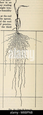 This 1922 study focuses on the root systems of crop plants, examining ...