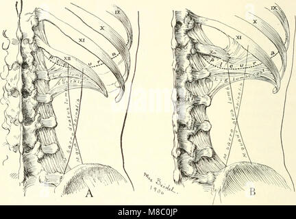 Diseases of the kidneys, ureters and bladder, with special reference to the diseases of women (1922) (14579050480) Stock Photo