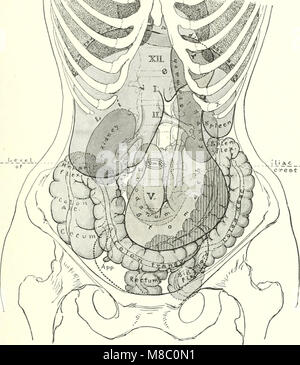 Diseases of the kidneys, ureters and bladder, with special reference to the diseases of women (1922) (14762834851) Stock Photo