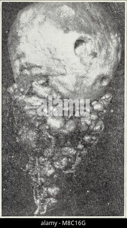 Diseases of truck crops - Ralph E. Smith (1940) (20350175364) Stock Photo
