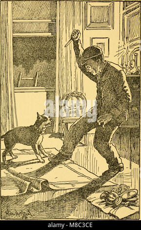 Dogs and puppies (1908) (14597147509) Stock Photo