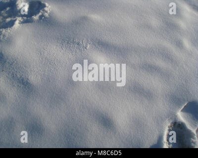 Sunshine ,sunny weather, snow, snow texture Stock Photo
