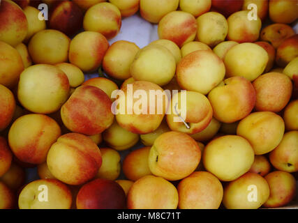 bright nectarines in the market Stock Photo