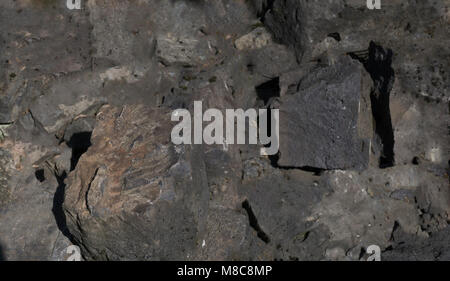 Dark grey black slate background or texture. Stock Photo