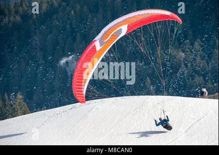 Paraglider about to land in snowy mountain meadow with forests behind in the Swiss alps.. Stock Photo