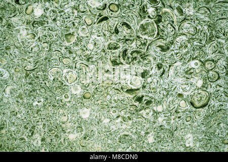 Beautiful green marble luxury decor wall with streaks. Green marble texture wall. Stone background texture. Stone pattern. Abstract seamless backgroun Stock Photo