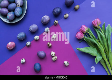 flat lay with painted chicken and quail eggs and tulips on background in purple tones Stock Photo