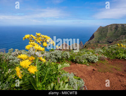 Chinamada, Anaga Rural Park, Tenerife Island, Canary Islands, Spain Stock Photo