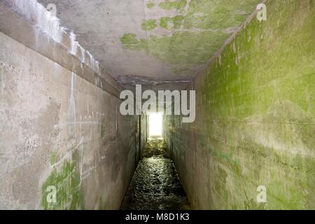 Tunnel made of reinforced concrete - entrance to bunker belonged to Headquarters of Nazi Land Forces (Oberkommando des Heeres) in Mamerki, Poland Stock Photo