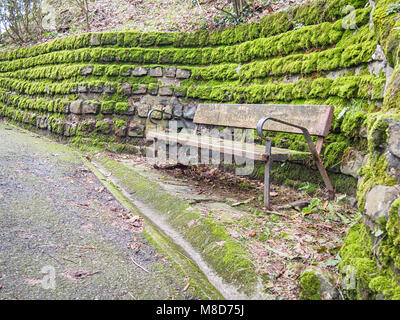 Old wooden bench near a mossy stone wall Stock Photo