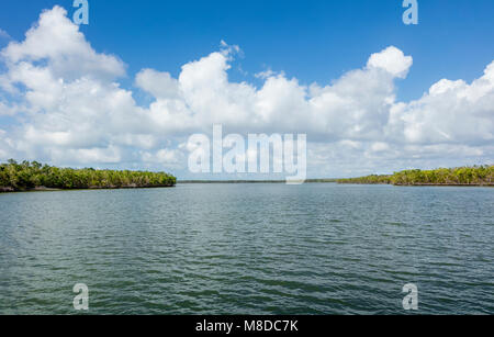 A view of Ten Thousand Islands area located in Everglades National Park, Florida. The islands are covered mostly by mangroves. Stock Photo