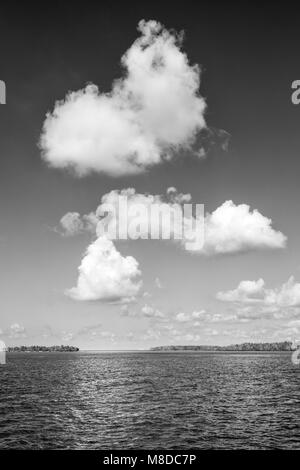 A view of Ten Thousand Islands area located in Everglades National Park, Florida. Stock Photo