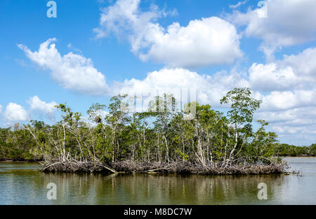 A view of Ten Thousand Islands area located in Everglades National Park, Florida. The islands are covered mostly by mangroves. Stock Photo