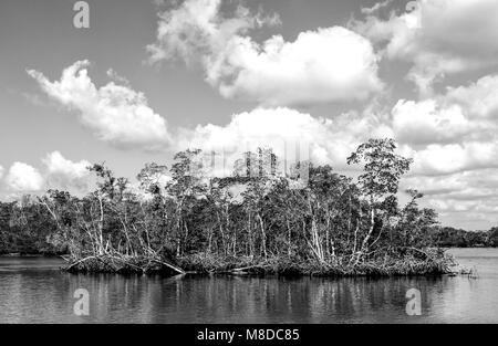 A view of Ten Thousand Islands area located in Everglades National Park, Florida. The islands are covered mostly by mangroves. Stock Photo