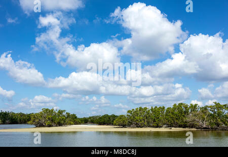 A view of Ten Thousand Islands area located in Everglades National Park, Florida. The islands are covered mostly by mangroves. Stock Photo