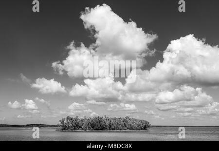 A view of Ten Thousand Islands area located in Everglades National Park, Florida. The islands are covered mostly by mangroves. Stock Photo