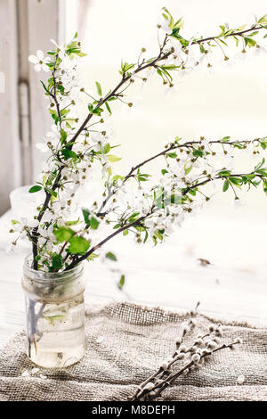 beautiful fresh cherry branches with white flowers in simple vase on wooden background in morning light. hello spring image, space for text. springtim Stock Photo