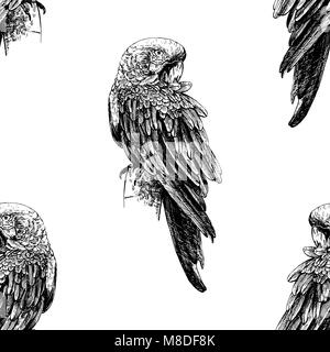 Seamless pattern of hand drawn sketch style Ara parrots. Vector illustration isolated on white background. Stock Vector