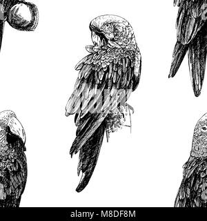 Seamless pattern of hand drawn sketch style Ara parrots. Vector illustration isolated on white background. Stock Vector