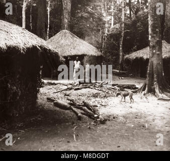 1940s East Africa Uganda - Budongo forest, felling and sawing mahogany trees - woodsmens huts