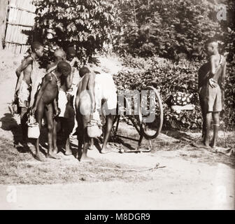 1940s East Africa - Uganda - rural transport and scenery, bicycle Stock Photo