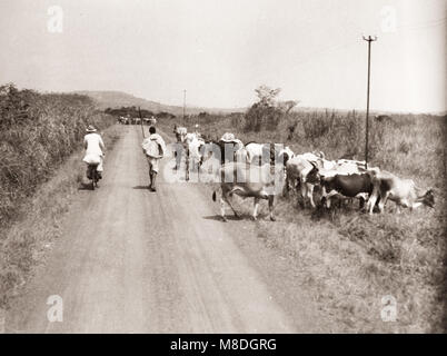 1940s East Africa - Uganda - rural transport and scenery, bicycle Stock Photo