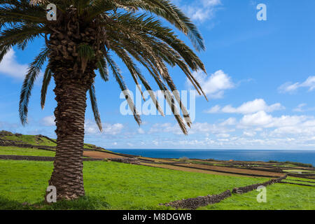 Portugal, Azoren, Terceira, Porto Martins Stock Photo