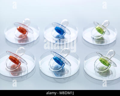 Scientific Cloning, A series of modified babies illustrated by baby soothers in petri dishes Stock Photo