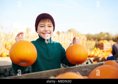 Boy holding harvested pumpkins in field Stock Photo