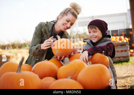 Young woman and boy selecting pumpkins in pumpkin patch field Stock Photo