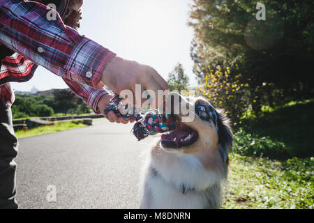 Man and dog playing with rope in park, cropped Stock Photo